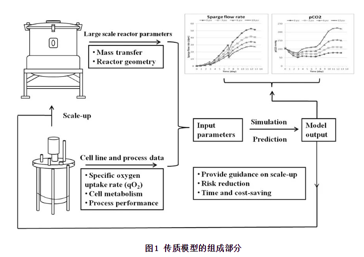 图层-31.jpg