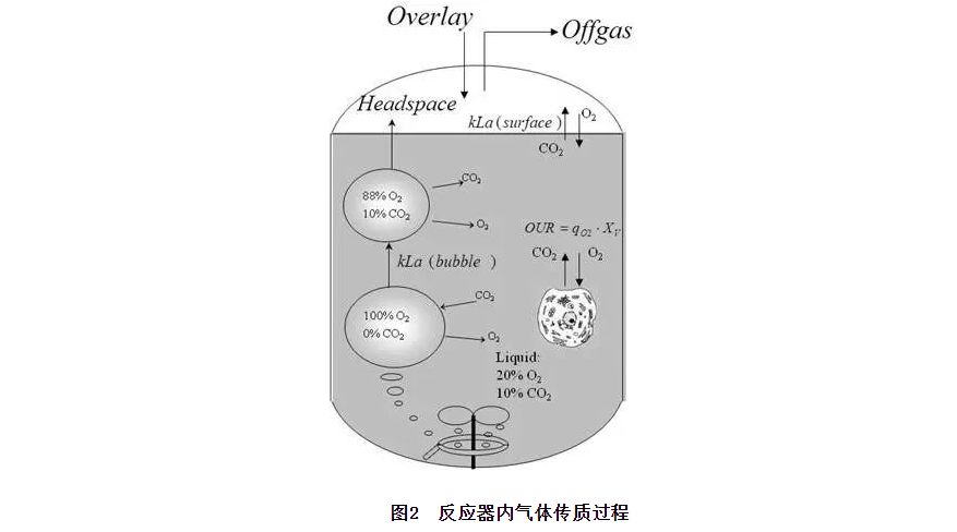 图层-5.jpg