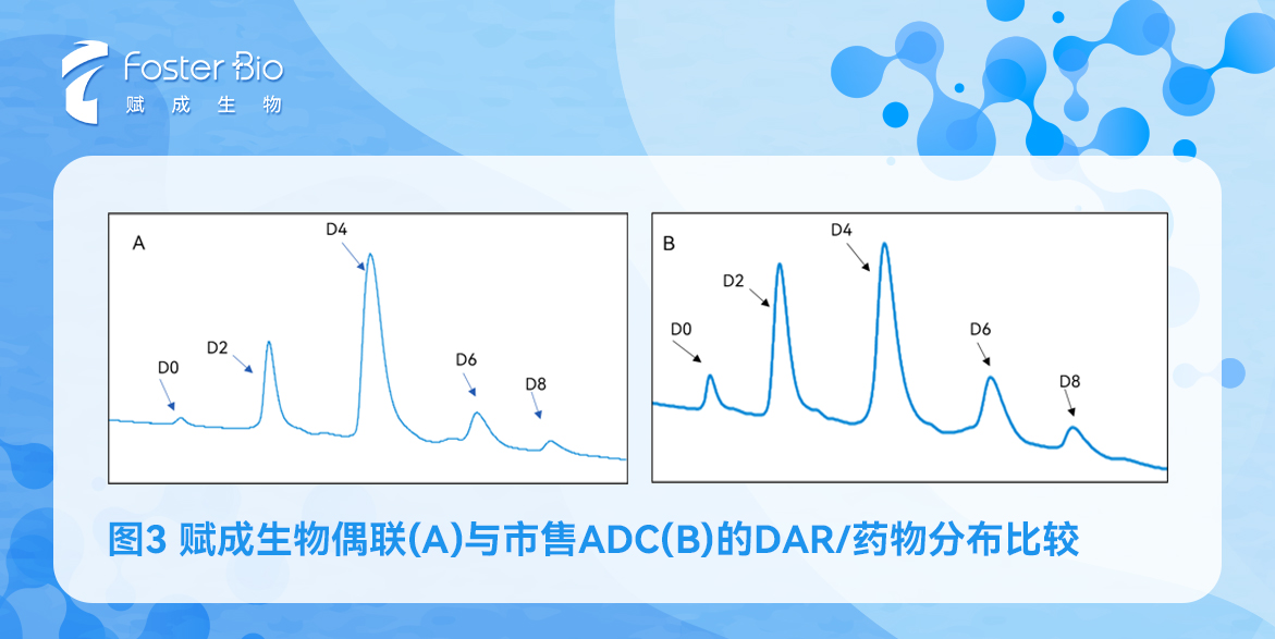 组-1-拷贝-2.jpg