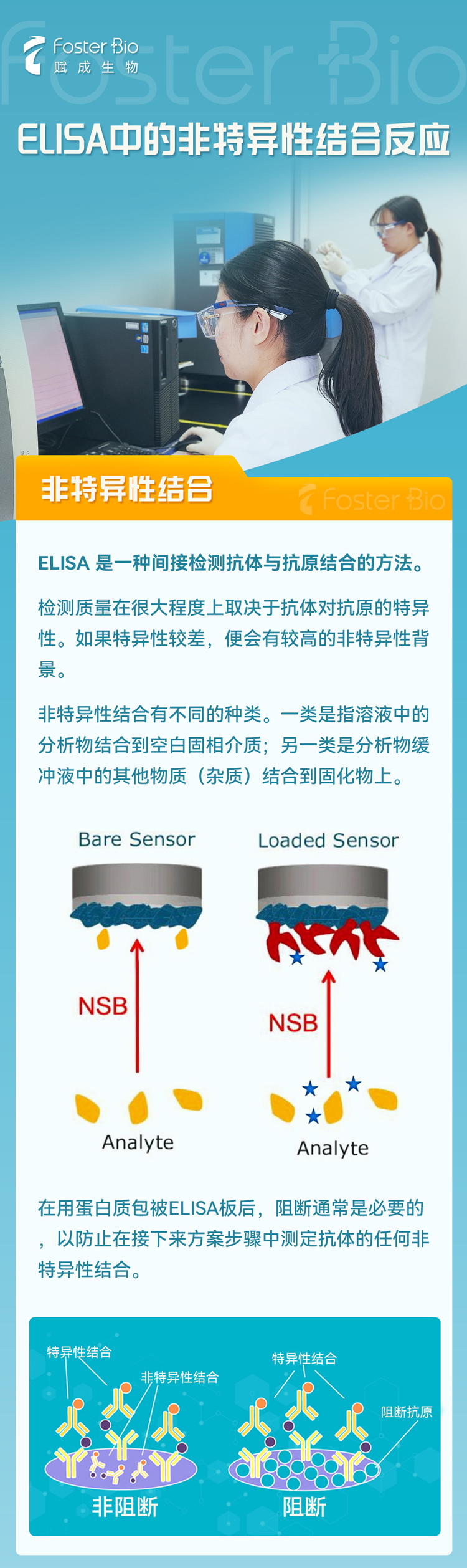 网站用-1.jpg